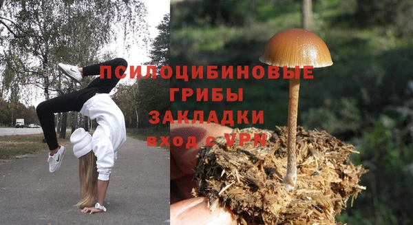 ECSTASY Пересвет