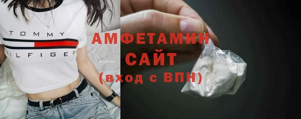 ECSTASY Пересвет