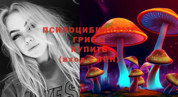 мяу мяу мука Щучье