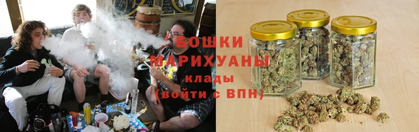 амф Переславль-Залесский