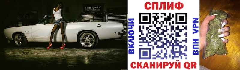 Каннабис OG Kush  Сусуман 